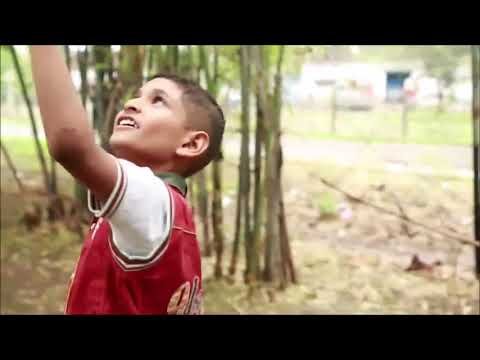 Cancer Patients and Their Caregivers | Indore Cancer Foundation