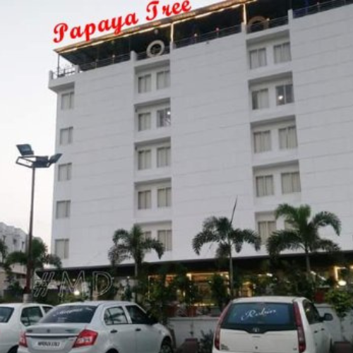 papaya-tree-hotel